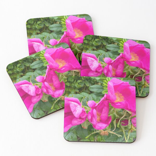Item preview, English Wild Flowers - Dog Roses designed and sold by Violaman.