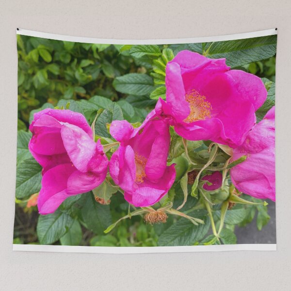 Item preview, English Wild Flowers - Dog Roses designed and sold by Violaman.