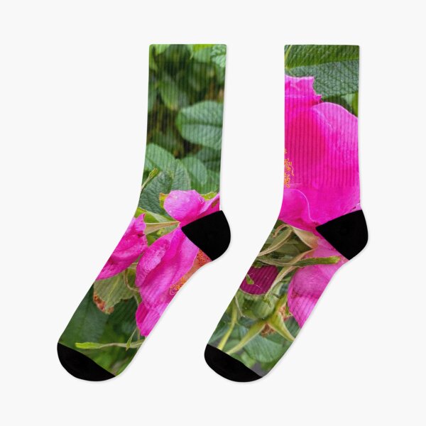 Item preview, English Wild Flowers - Dog Roses designed and sold by Violaman.