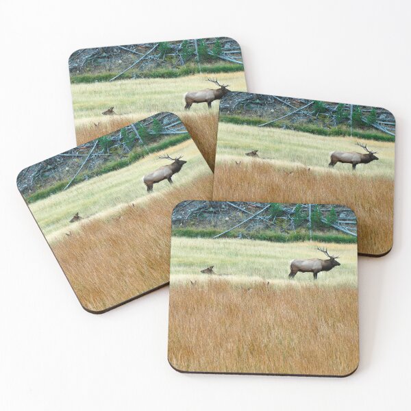 Item preview, Protecting family designed and sold by micah kaplan.