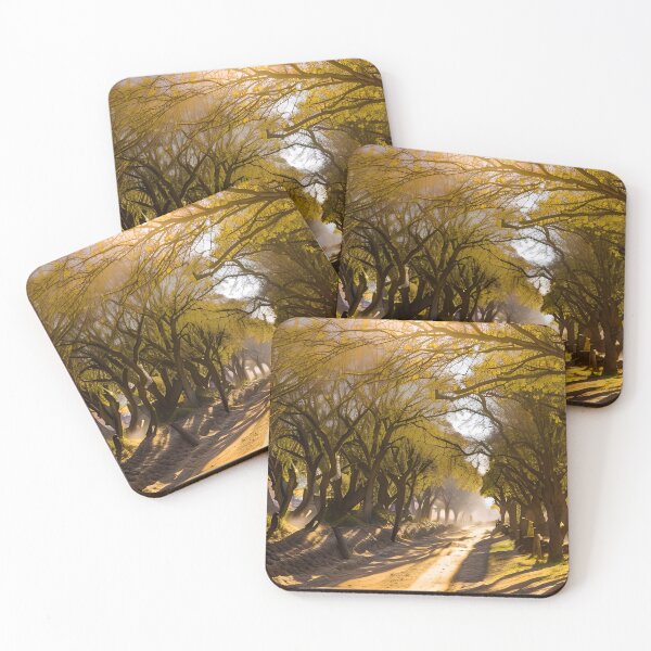 Item preview, Woodland walk designed and sold by Glenbobagins.