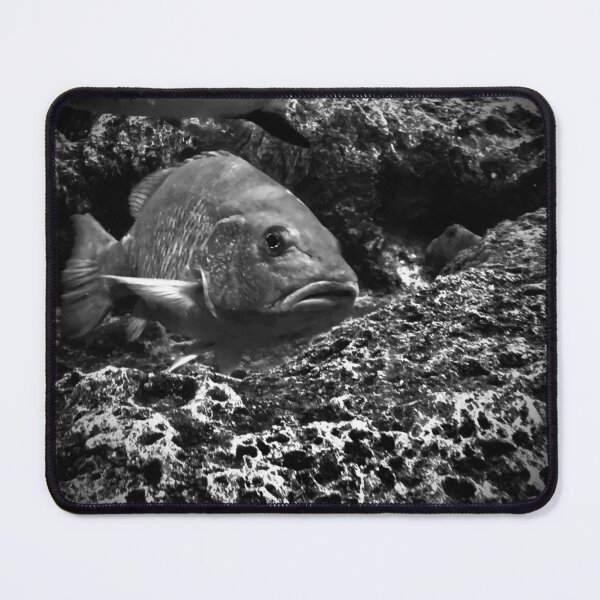 Item preview, Big Fish designed and sold by rsut32.