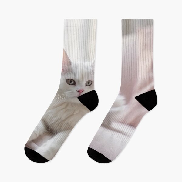 Item preview, Close up of domestic cat lying on the sofe in the livingroom. Cat relax on the bed at home. Soft pastel colors image. designed and sold by anytka.