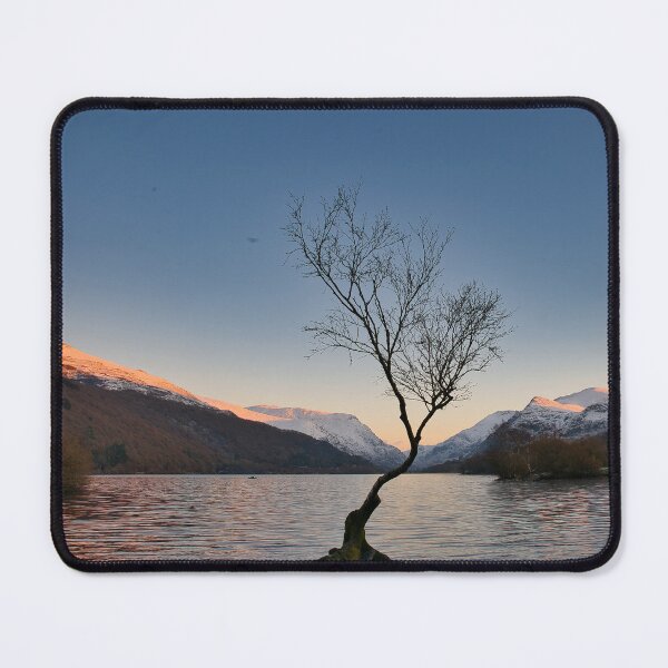 Item preview, Winter at the Lonely tree  designed and sold by TheoPhotoraphy.