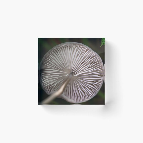 Item preview, Mushroom spore print art designed and sold by haydono.