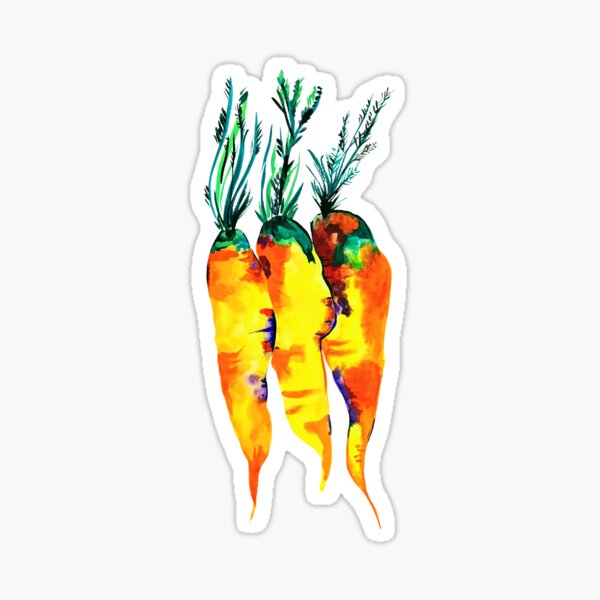 Watercolor Carrots Illustration Sticker