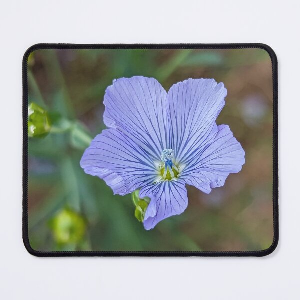 Item preview, Blue Flax Flower designed and sold by ThistlesCards.