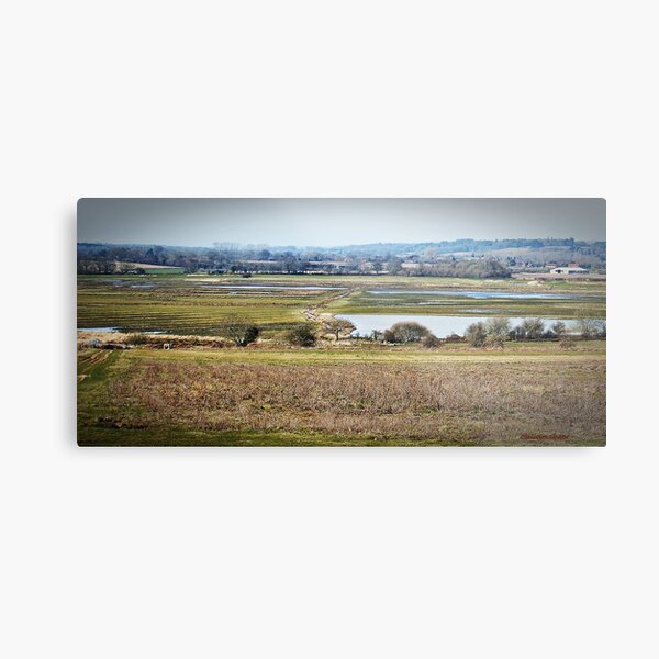 Item preview, The Floods are receding now designed and sold by mrcoradour.