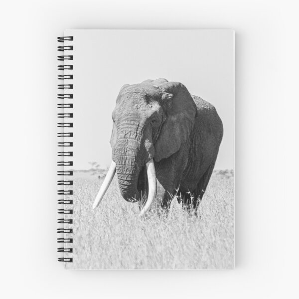 Item preview, The Masai Elephant designed and sold by Kypridemos.