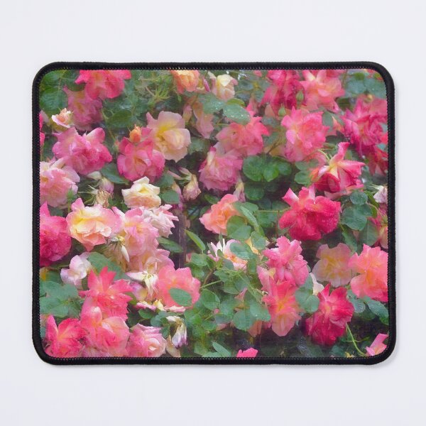 Item preview, Rose 356 designed and sold by secretgardener.