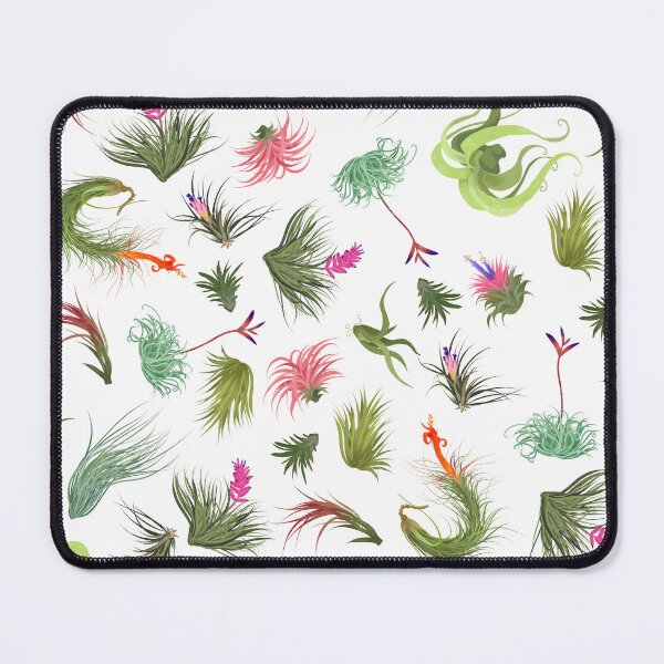Item preview, Air Plants White Background designed and sold by Maysoulrose.