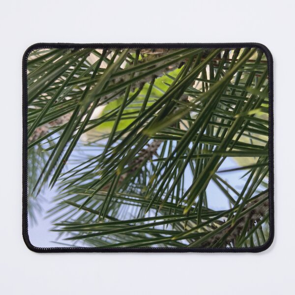 Item preview, Pine Needles  designed and sold by Amanda1775.