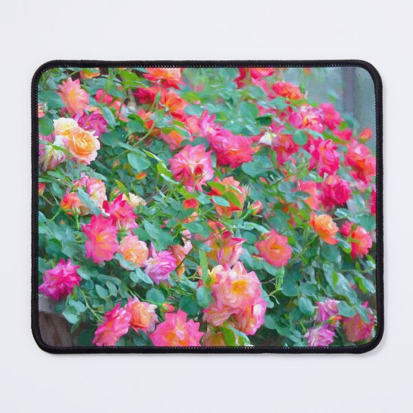 Item preview, Rose 360 designed and sold by secretgardener.