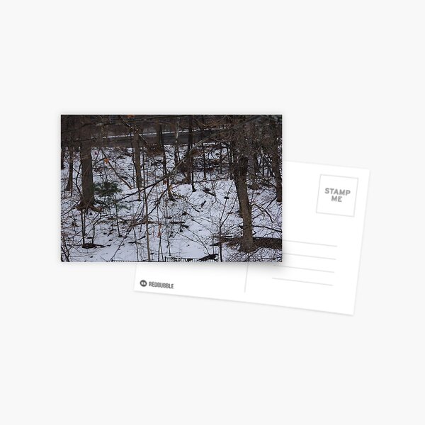 Hillsides and Snow Postcard