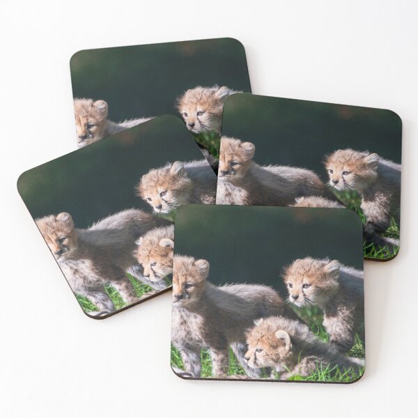 Item preview, A Trio of Ceetah Cubs designed and sold by Chrispyb7.