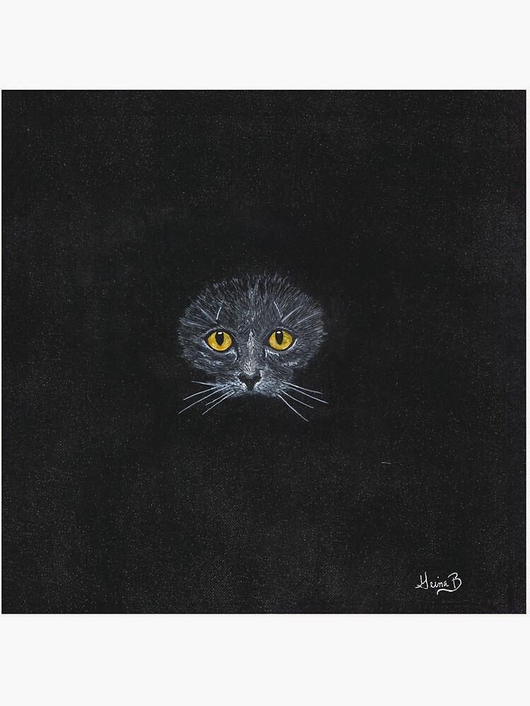 black hole cat