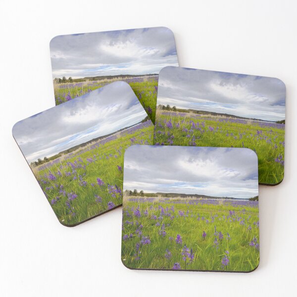 Item preview, Camas and Rock Lake, Eastern Washington designed and sold by Alison Meyer Photography.
