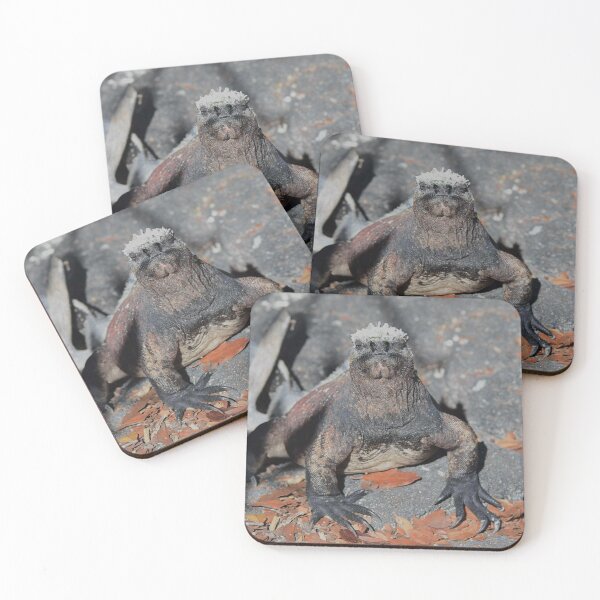 Item preview, A Galapagos Greeter, A Marine Iguana. designed and sold by Tom Wurl.