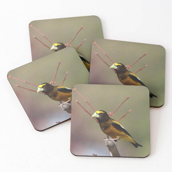 Item preview, An Evening Grosbeak  designed and sold by Judy Geller.