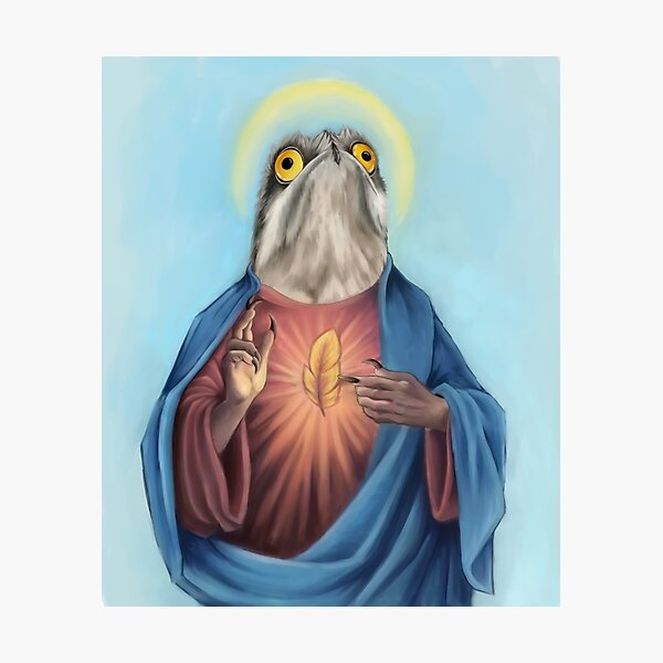 Our Lord and savior potoo bird Photographic Print