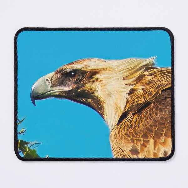 Item preview, Wedge-tailed Eagle designed and sold by GiantPaul.