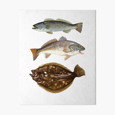 Black and White Slot Red Fish Sticker for Sale by RedFishyTee