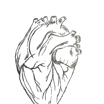 Artwork thumbnail, Heart by RaeOfSun1106