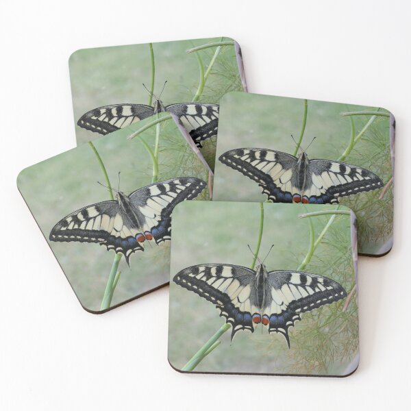 Item preview, Papilio machaon / Old world swallowtail designed and sold by Entomologist.