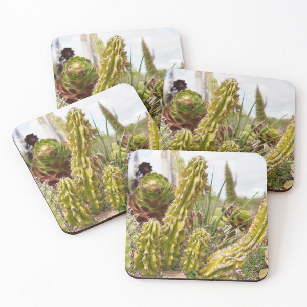 Item preview, CACTI PLANT EXOTIC PHOTO designed and sold by U-mule.