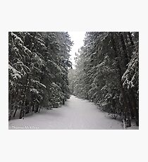 Narnia Photographic Print