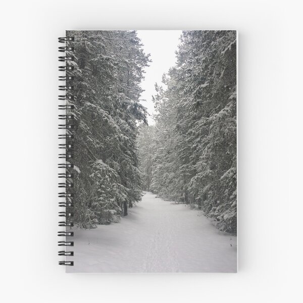 Item preview, Narnia  designed and sold by Asp Media.
