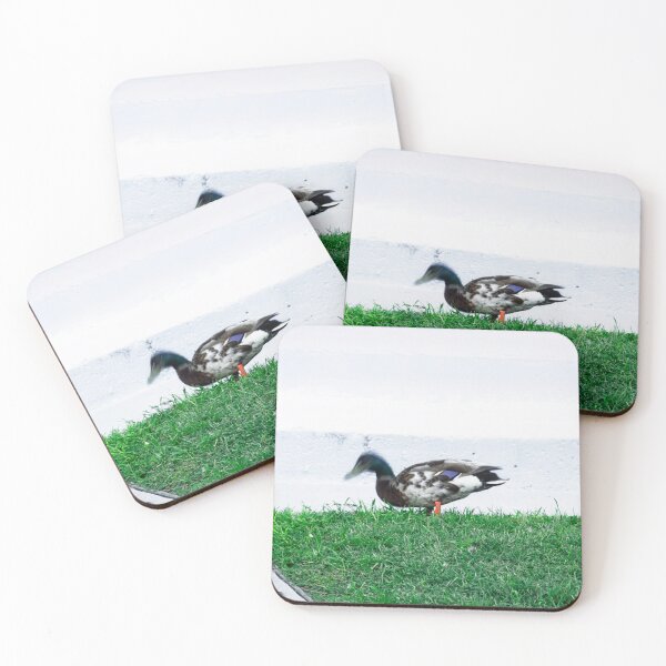 Item preview, Walking duck designed and sold by Masha-Gr.