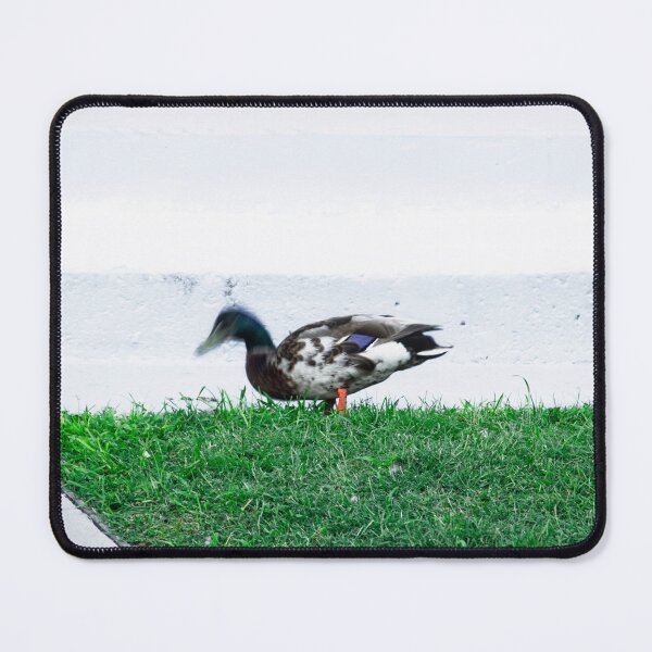 Item preview, Walking duck designed and sold by Masha-Gr.