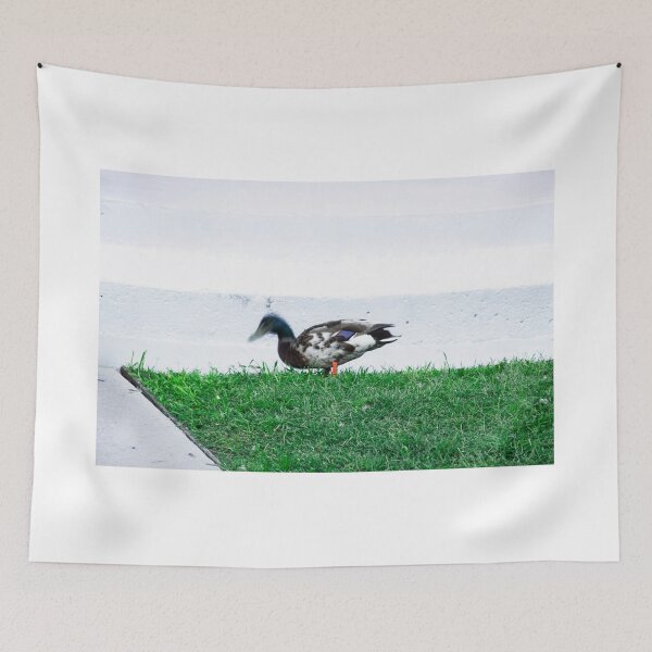 Item preview, Walking duck designed and sold by Masha-Gr.