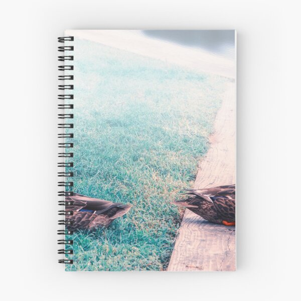 Item preview, Ducks designed and sold by Masha-Gr.
