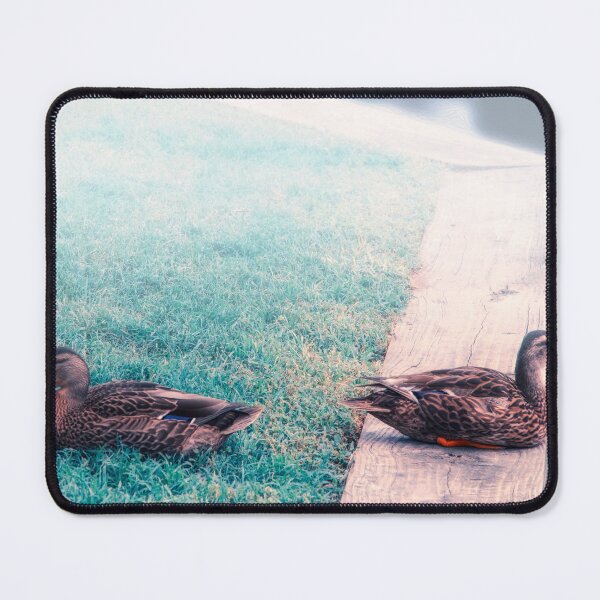 Item preview, Ducks designed and sold by Masha-Gr.