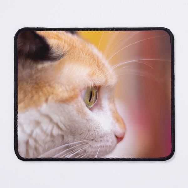 Item preview, adorable cat designed and sold by ricobarinas.