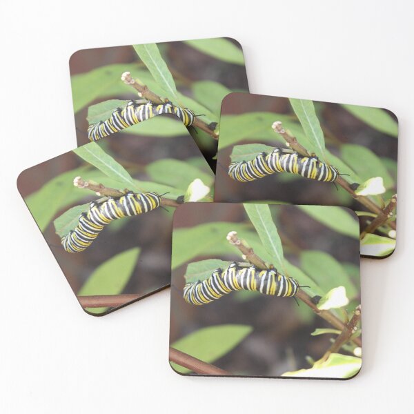 Item preview, Monarch Butterfly Caterpillar designed and sold by Gray-Atelier.