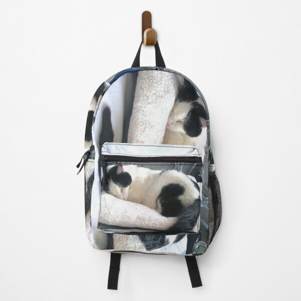 Item preview, #300 |☼| Cat Nappin' - Bradley: Shot 2 (Cats) designed and sold by Naean H.F. (Nez Man).