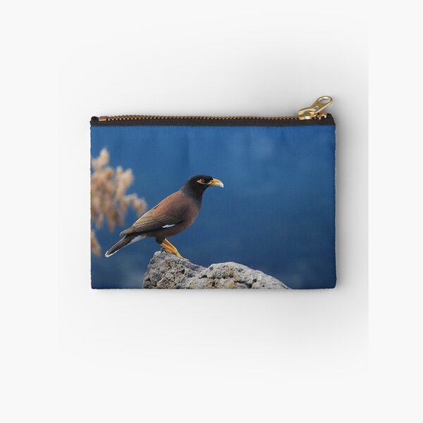 Item preview, the beauty of myna designed and sold by weirdoodle.