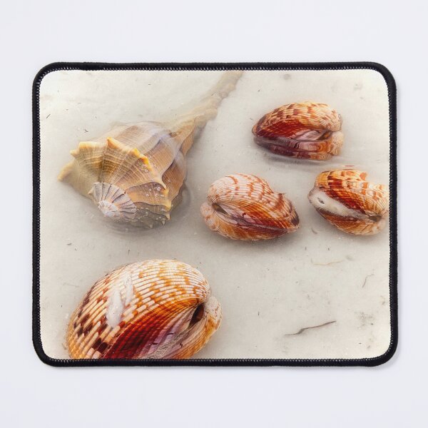 Item preview, Ocean Tresure designed and sold by Alla Gill.