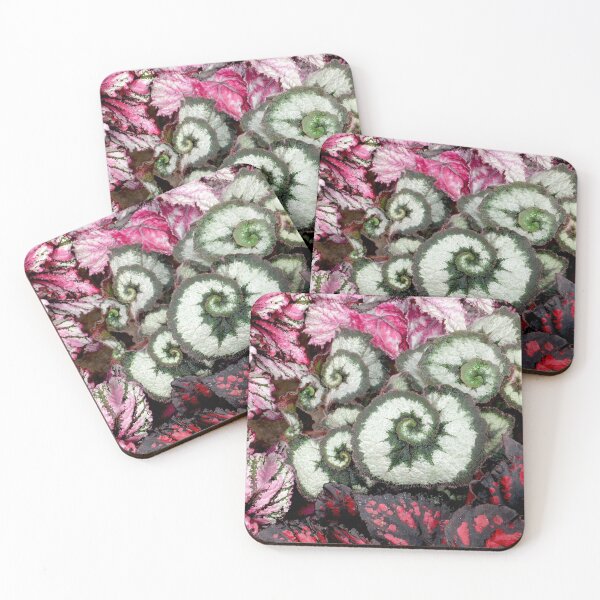 Item preview, Begonia Escargot designed and sold by pinkal.