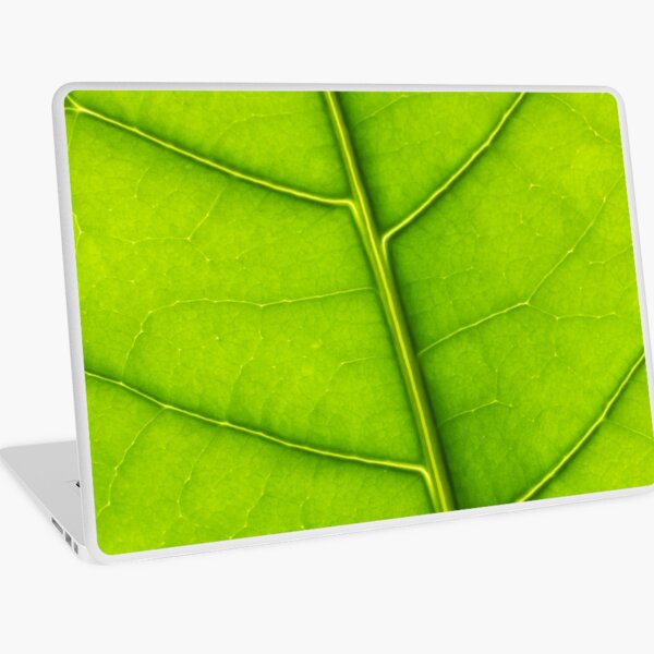 Eco green leaf Laptop Skin