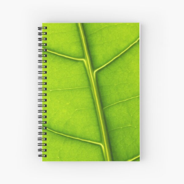 Eco green leaf Spiral Notebook