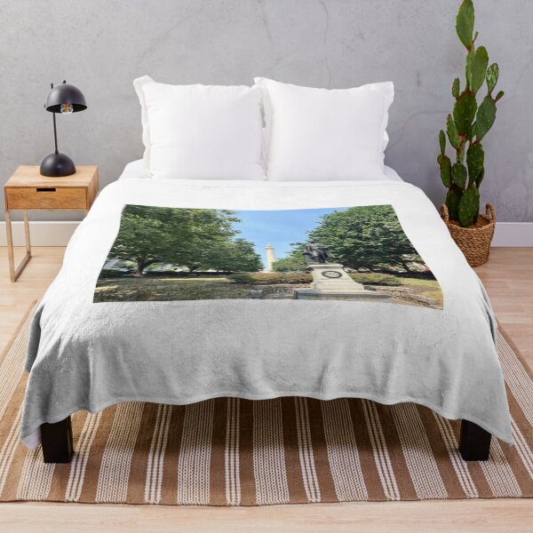 Item preview, Mount Vernon Place East Park designed and sold by BaltimoreanArt.