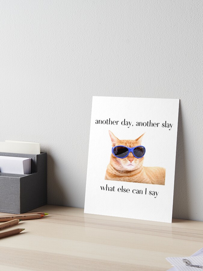 Cats don't care if you are crazy, cat meme, ORIGINAL Willow Days | Poster