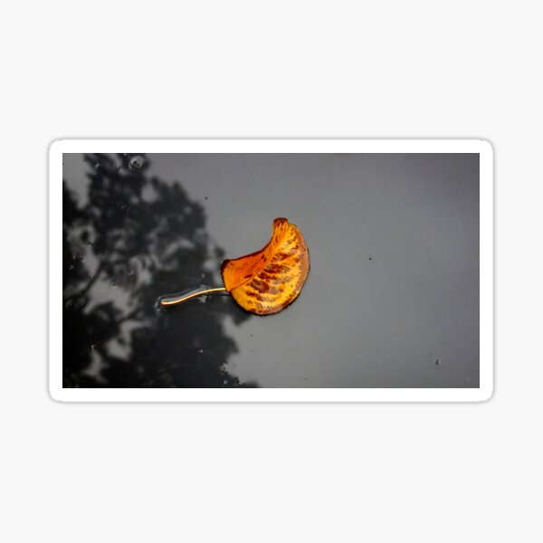 Item preview, Autumn leaf by Adelaide artist Avril Thomas at Magpie Springs designed and sold by MagpieSprings.