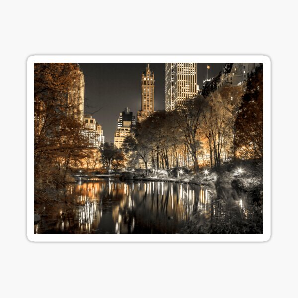Item preview, Central Park At Night designed and sold by assaf.