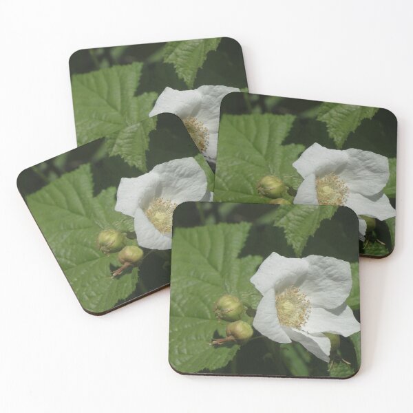 Item preview, White Flower in Dark Greenery  designed and sold by obsidianlily.