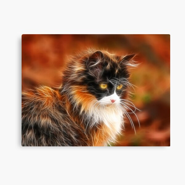 Calico Canvas Print